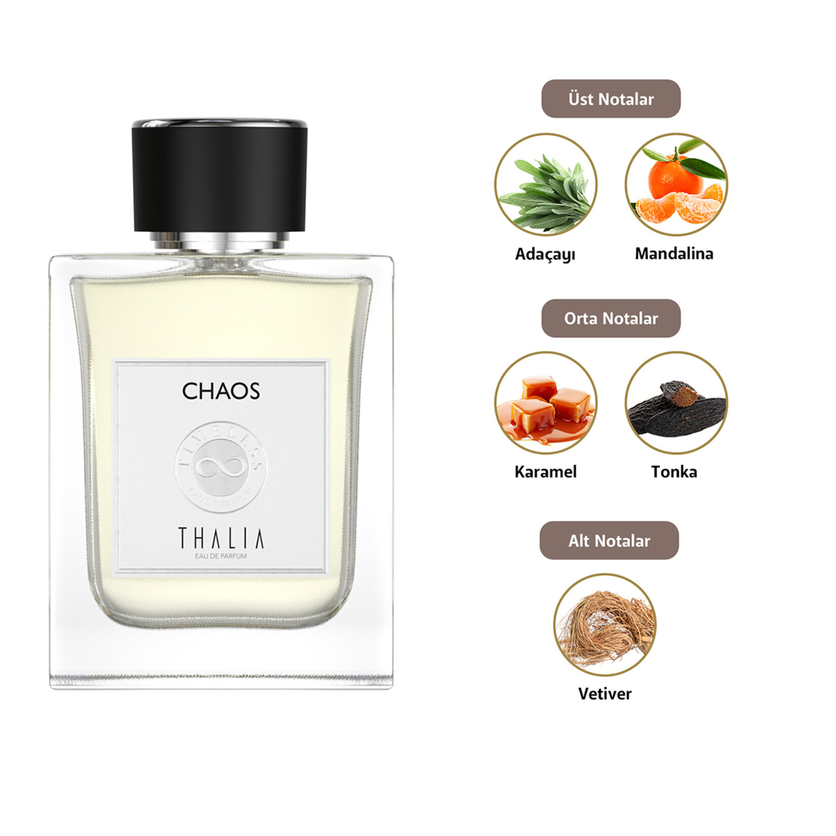 Thalia Timeless Chaos Edp Men 100 Ml - Görsel 2