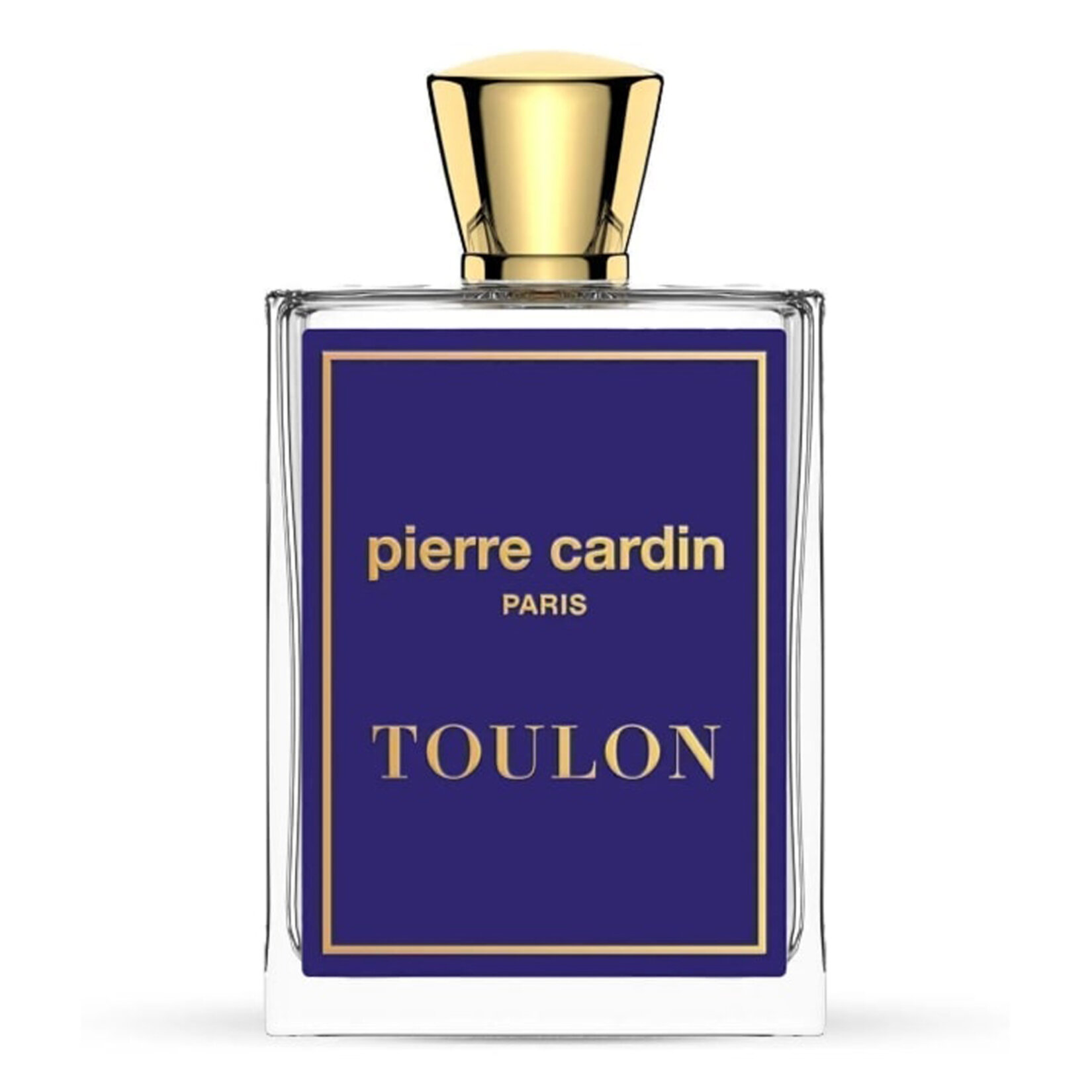 Pierre Cardin Toulon Edt For Men 100 Ml