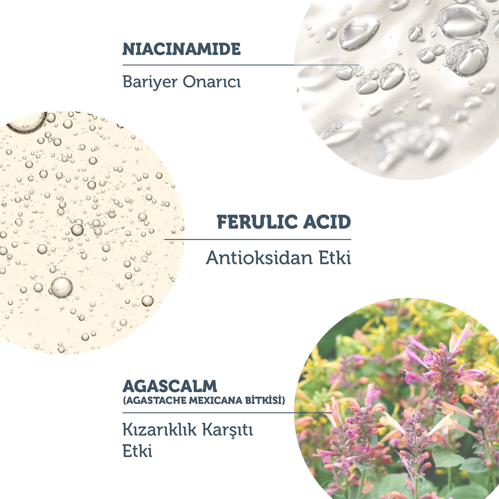 The Purest Solutions Bariyer Güçlendirici Serum 30 ml - Görsel 4