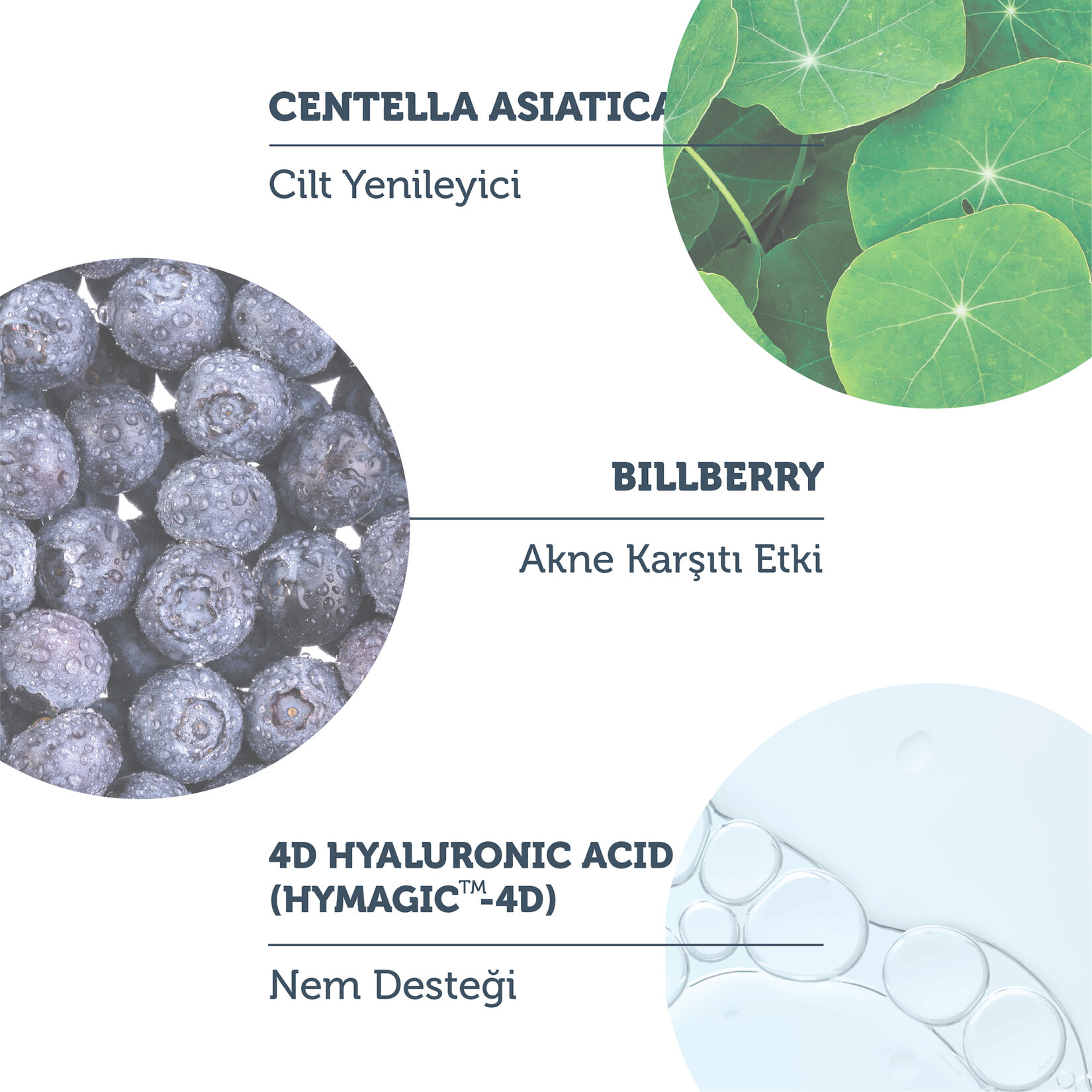 The Purest Solutions Yağlı Cilt Güneş Kremi 50+ SPF 50 ml - Görsel 4