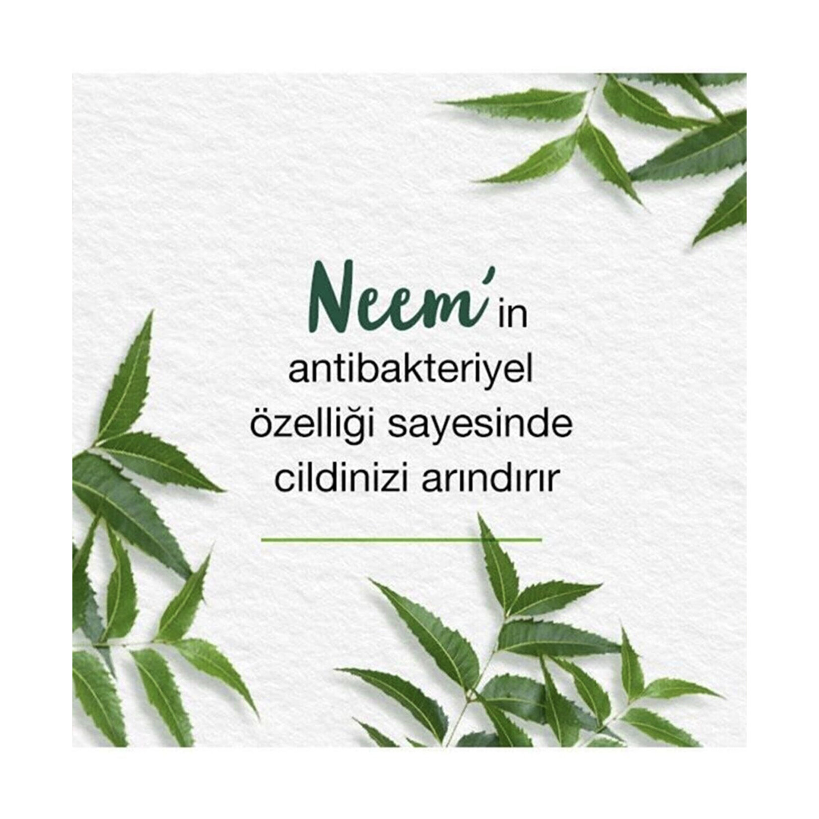 Himalaya Neem Özlü Arındırıcı Yüz Yıkama Jeli 150 Ml - Görsel 5