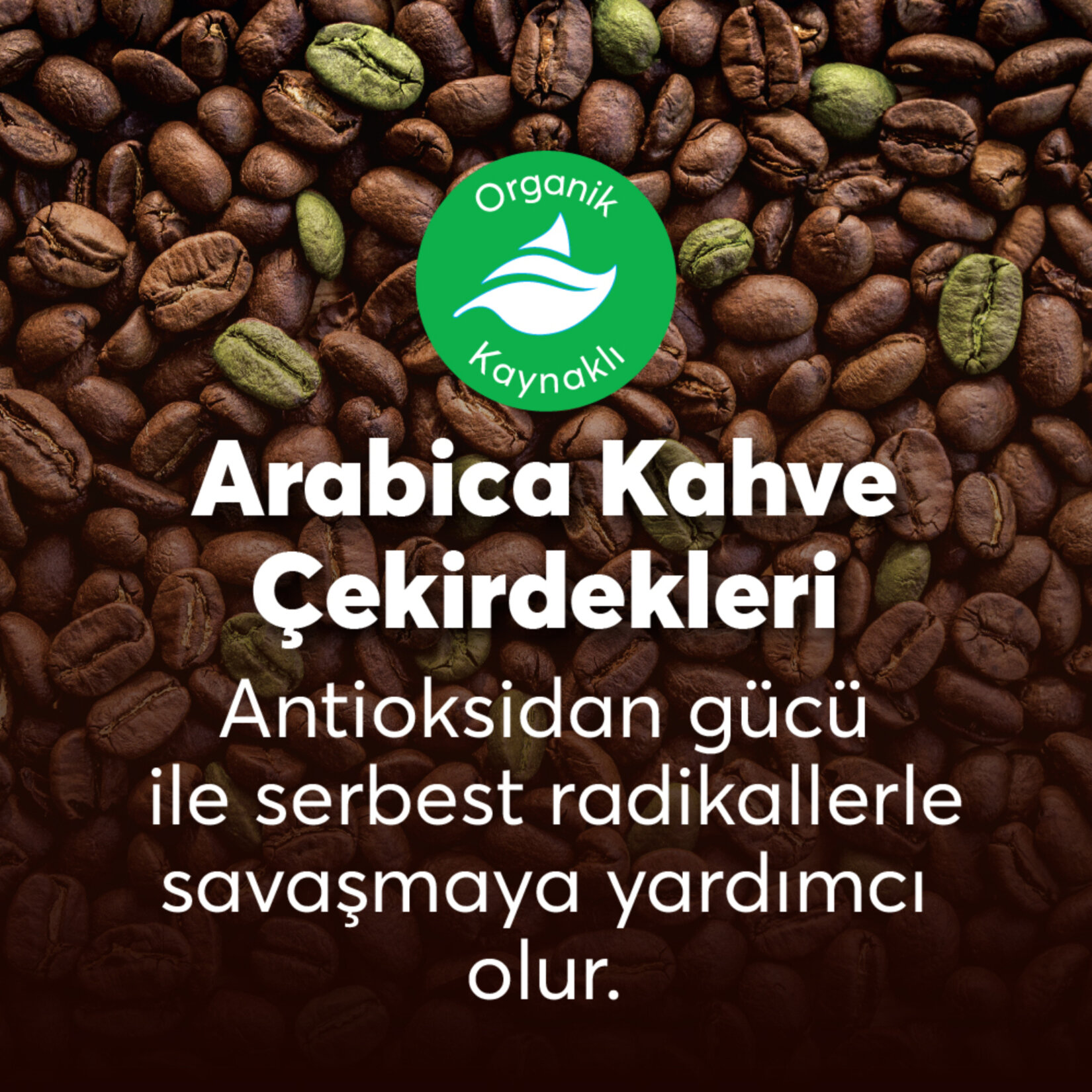 Himalaya Derin Temizleme Etkili Kahve Özlü Yüz Temizleme 100 Ml - Görsel 4