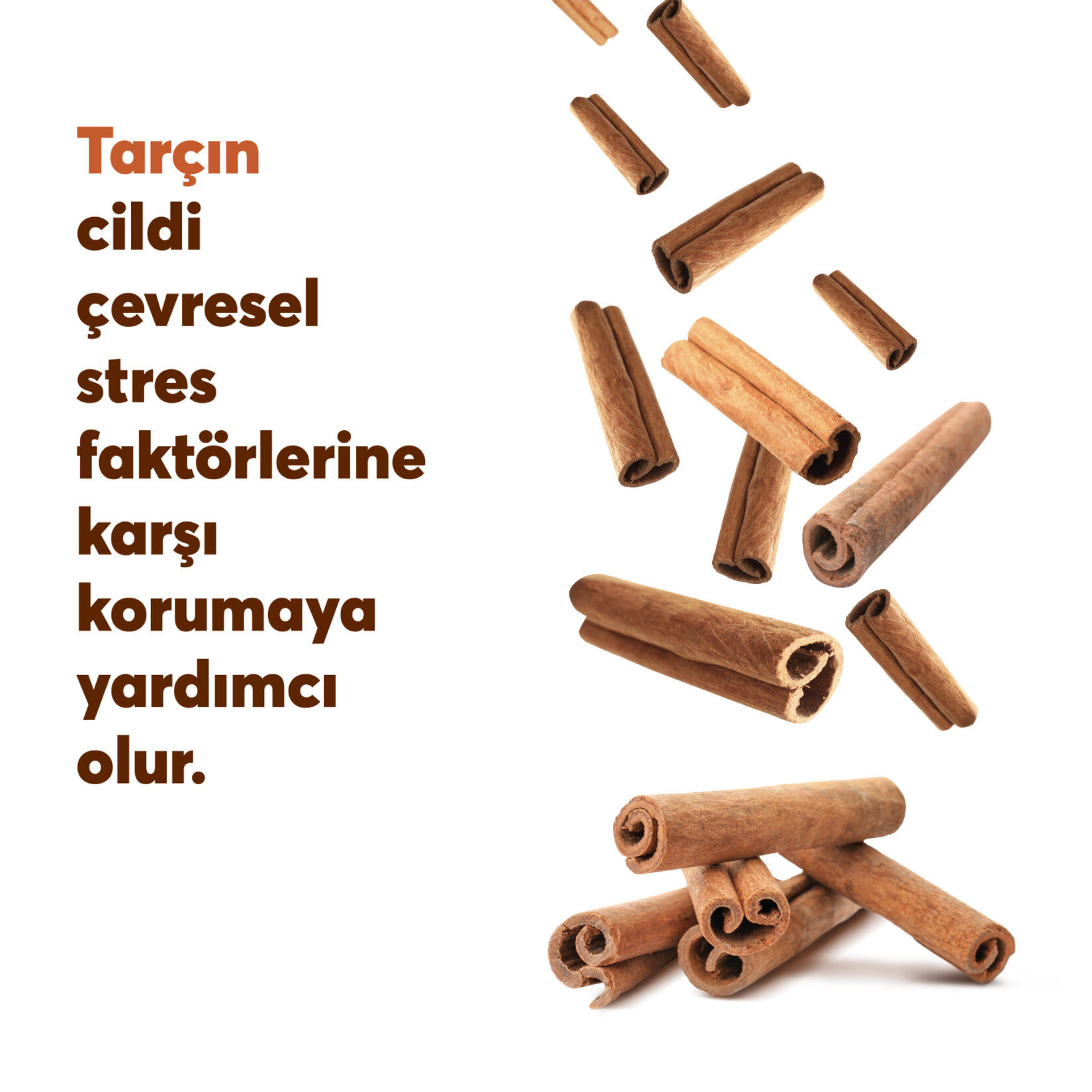 Himalaya Derin Temizleme Etkili Kahve Özlü Yüz Temizleme 100 Ml - Görsel 5