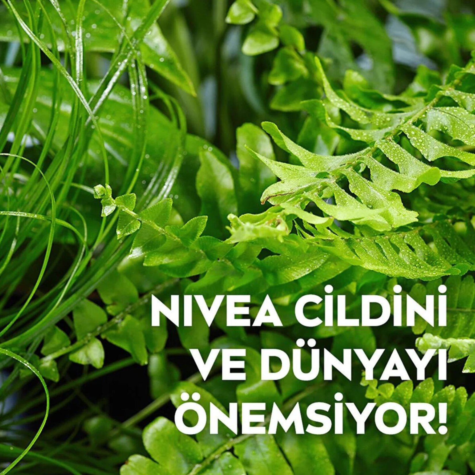NIVEA 3'ü1 Arada Canlandırıcı Makyaj Temizleme Mendilleri, Normal ve Karma Ciltler, 25 Adet - Görsel 4
