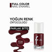 Flormar Full Color Yoğun Renk Veren İnce Yapılı Oje - FC66 Cinnamon - Görsel 4