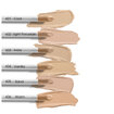 Pastel 24h Non-Stop 2in1 Foundation & Concealer - Fondöten & Kapatıcı 604 Vanilla - Görsel 3