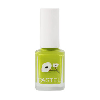 Pastel Oje No:417