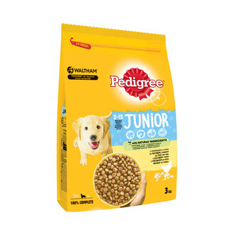 Pedigree Yavru Kuru Mama 3 Kg