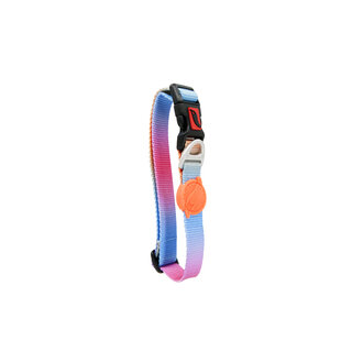 Tailpetz Pass Boyun Tasması Medium