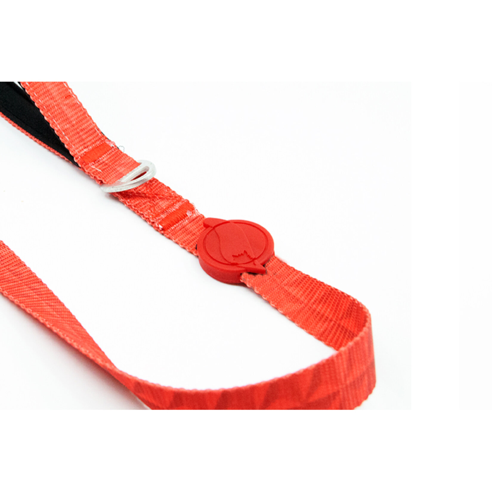 Tailpetz Sevk Kayışı Prism