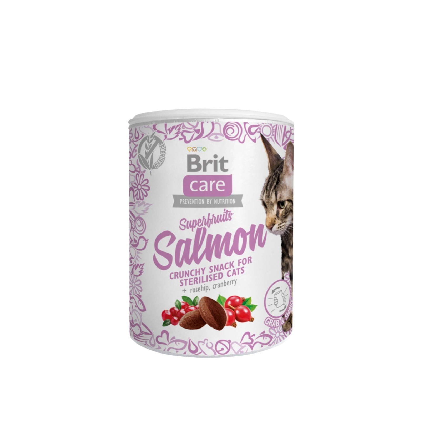 Brit Care Meyveli Çıtır Ödül - Somonlu 100 G