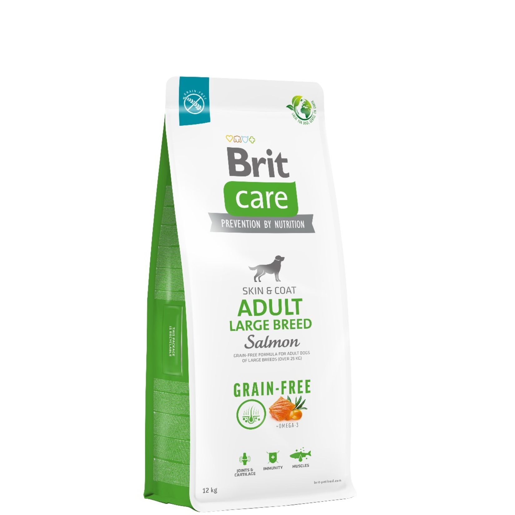 Brit Care Yetişkin Büyük Irk Somon Köpek Maması 12 Kg