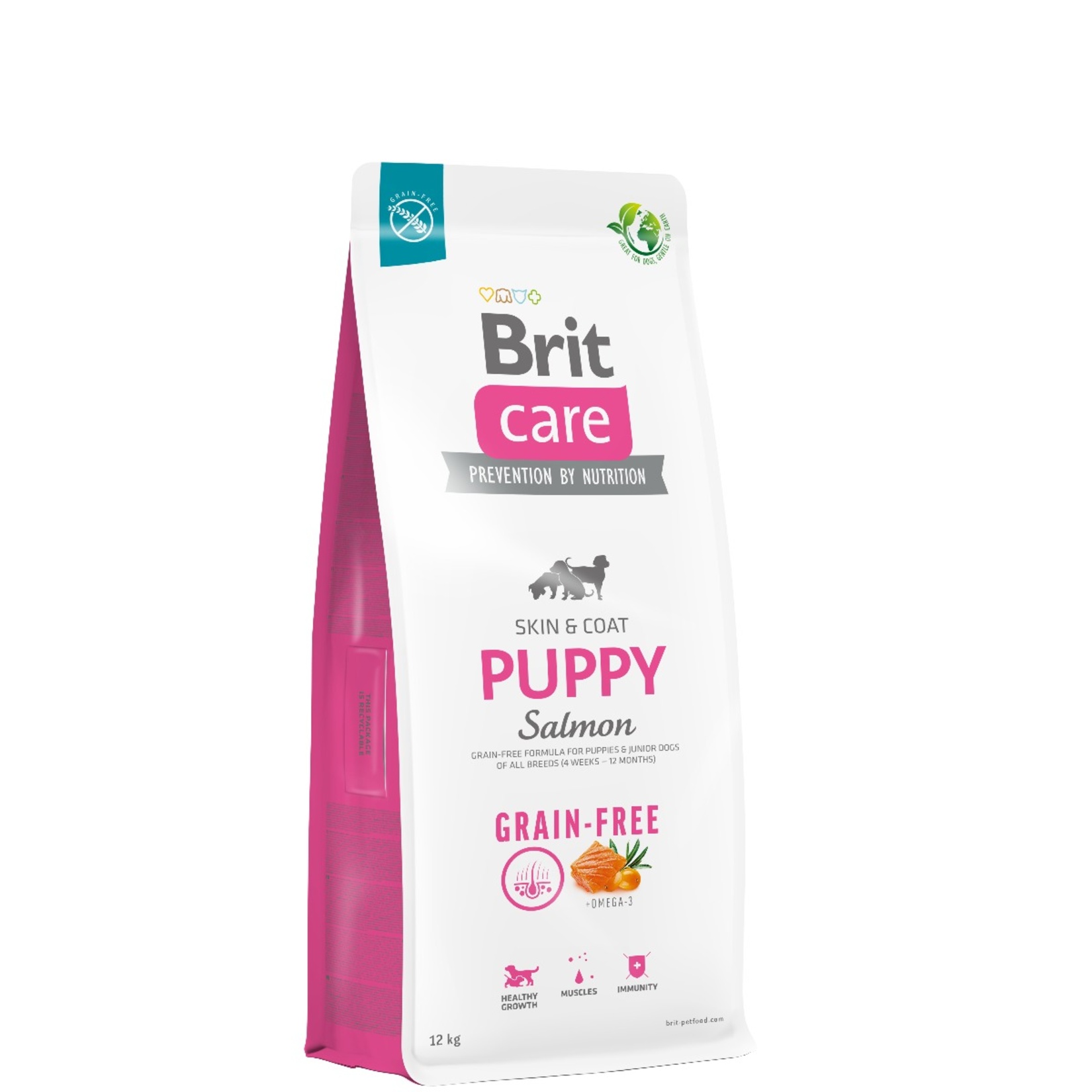 Brit Care Tahılsız Somonlu Kuru Köpek Maması 12 Kg