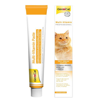 Gimcat Multivitamin 100 G