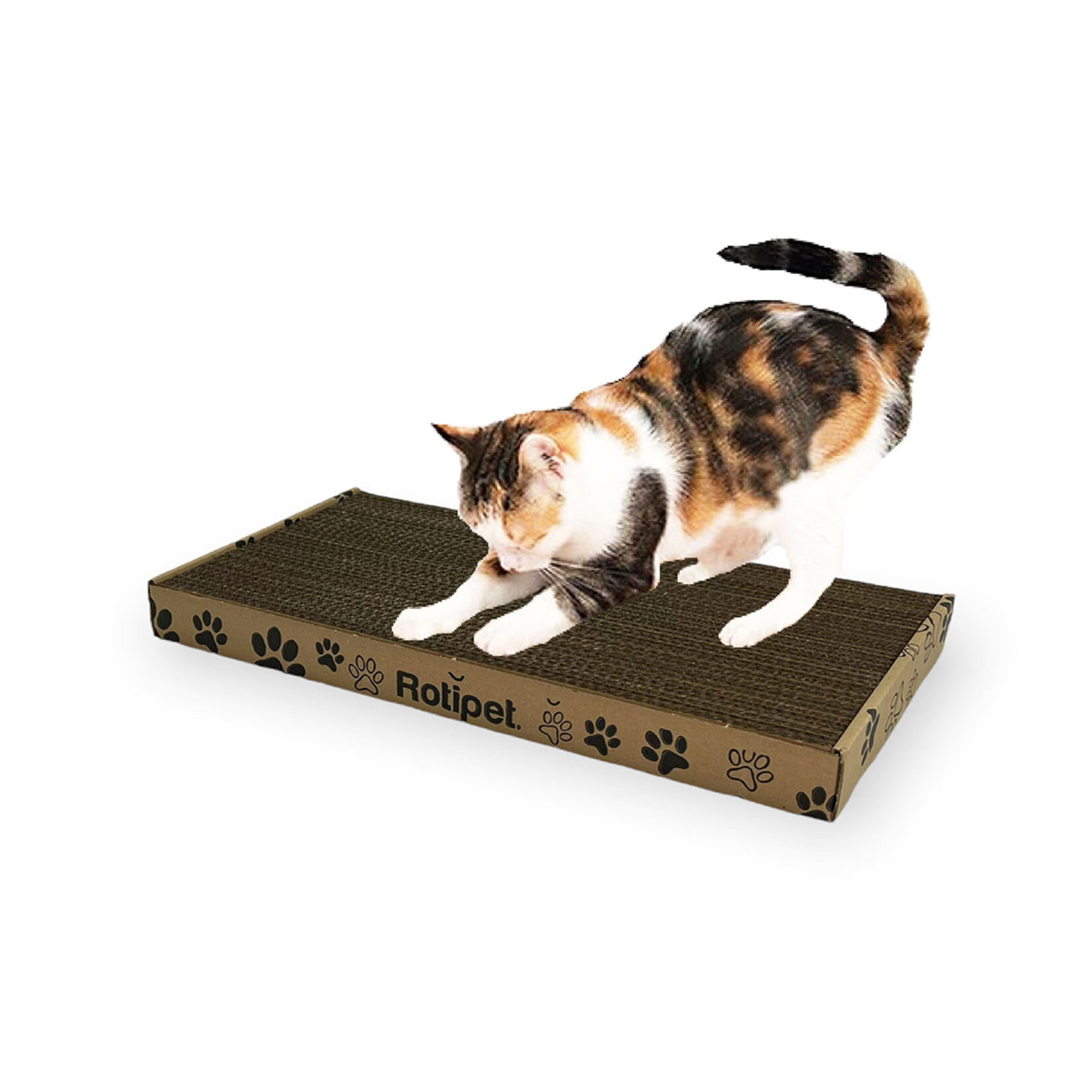 Karton Kedi Tırmalama 2011