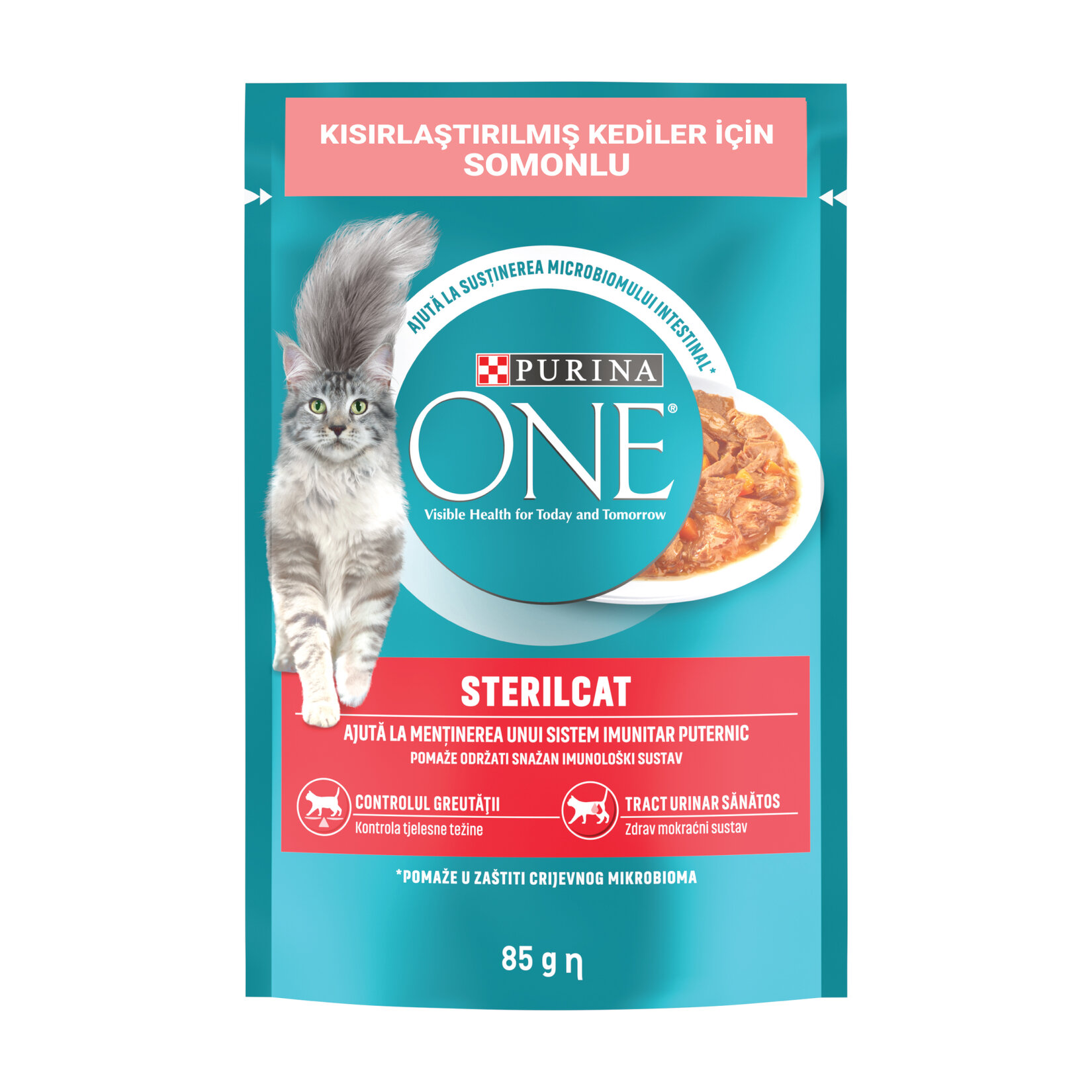 Purina One Kısırlaştırılmış Kedi Maması Somon & Havuç 85 G - Görsel 1