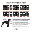Lindo Air Puff Stone Köpek Montu Beden&nbsp; 5 - Görsel 4