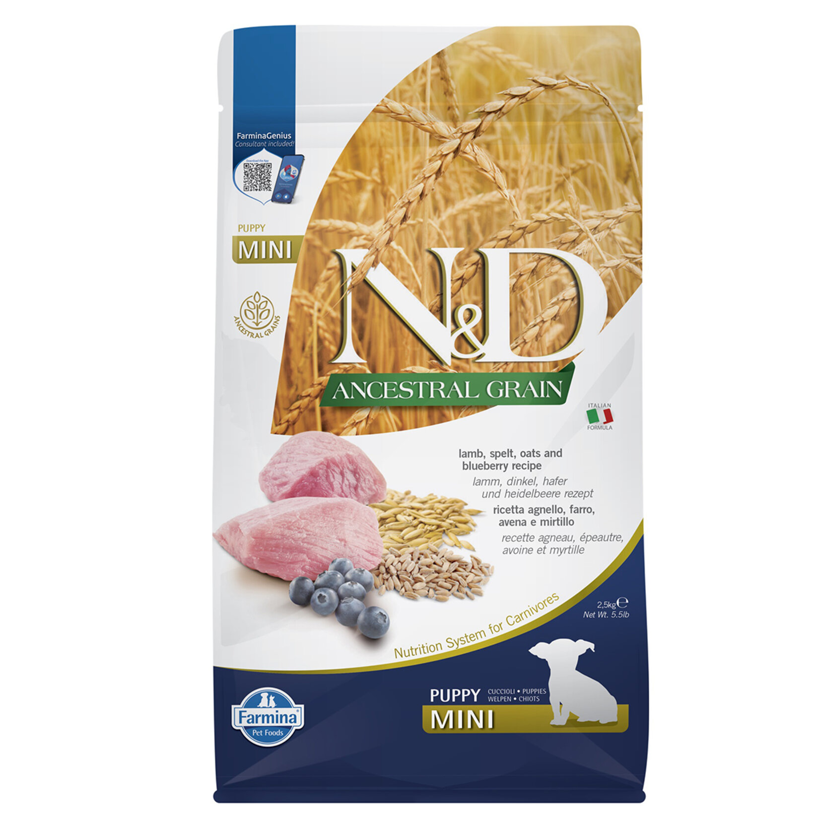 N&D Ancestral Grain Kuzu Yaban Mersini Yavru Köpek Mini  2.5 Kg
