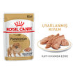 Royal Canin Pomeranian Yaş Köpek Maması 12 x 85 G - Görsel 2