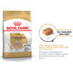 Royal Canin Chihuahua Kuru Köpek Maması 1.5 Kg - Görsel 2