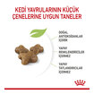 Royal Canin Yavru Kediler İçin Yaş Mama 12 x 85 G - Görsel 3