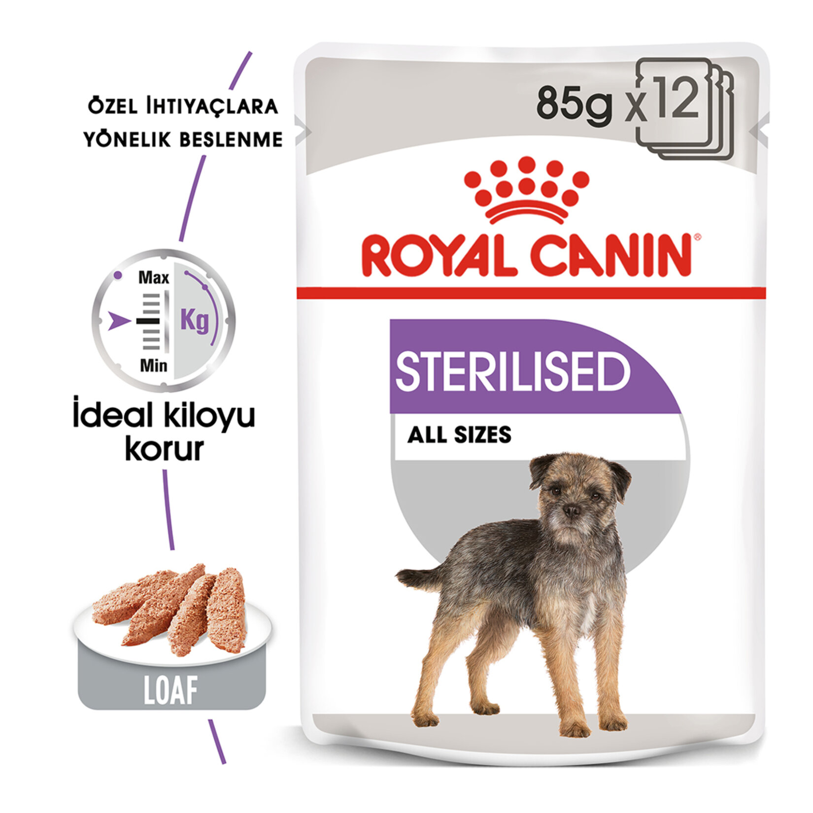 Royal Canin Sterilised Yaş Köpek Maması 12 x 85 G - Görsel 2