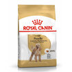 Royal Canin Poodle Yetişkin Kuru Köpek Maması 3 Kg - Görsel 1
