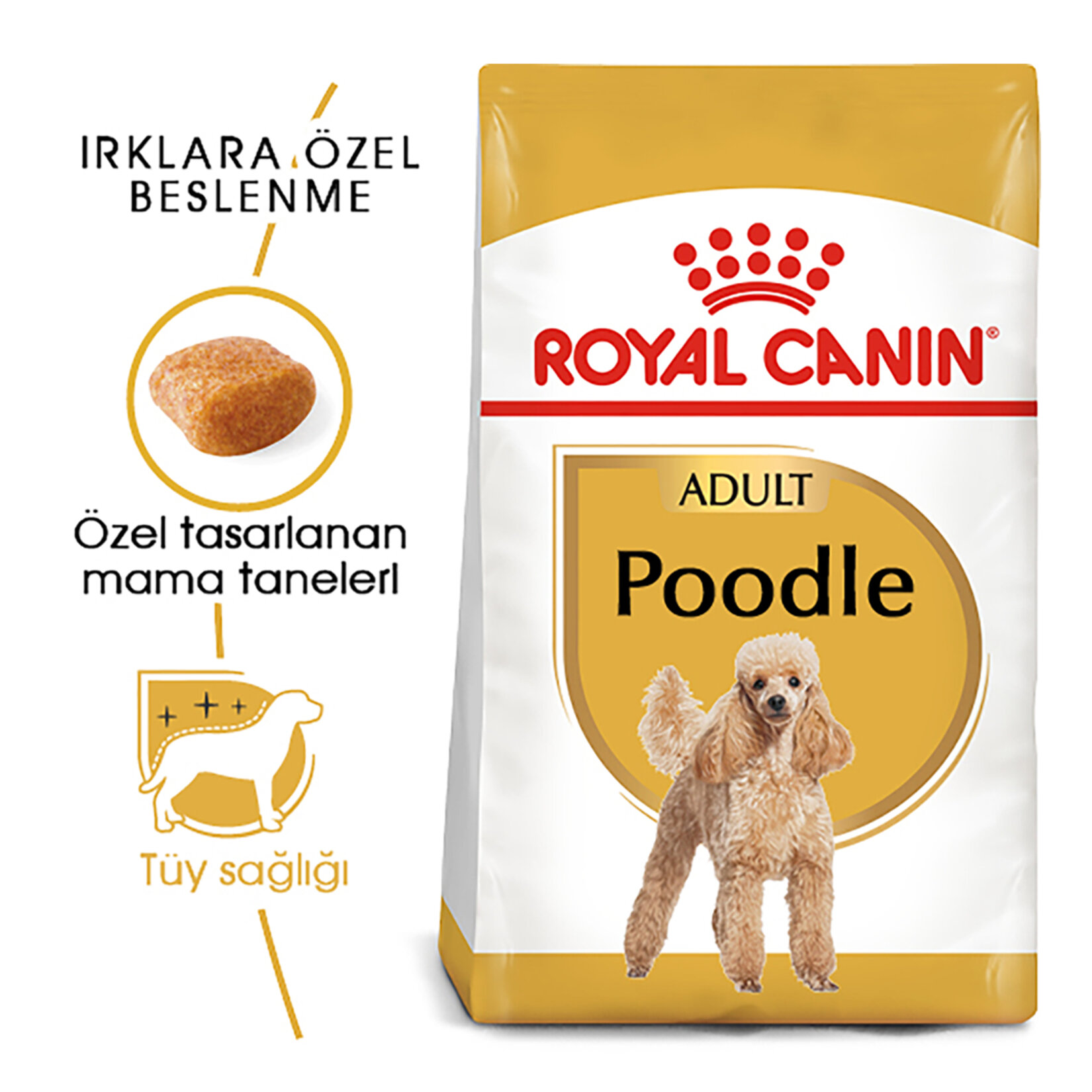 Royal Canin Poodle Yetişkin Kuru Köpek Maması 3 Kg - Görsel 2