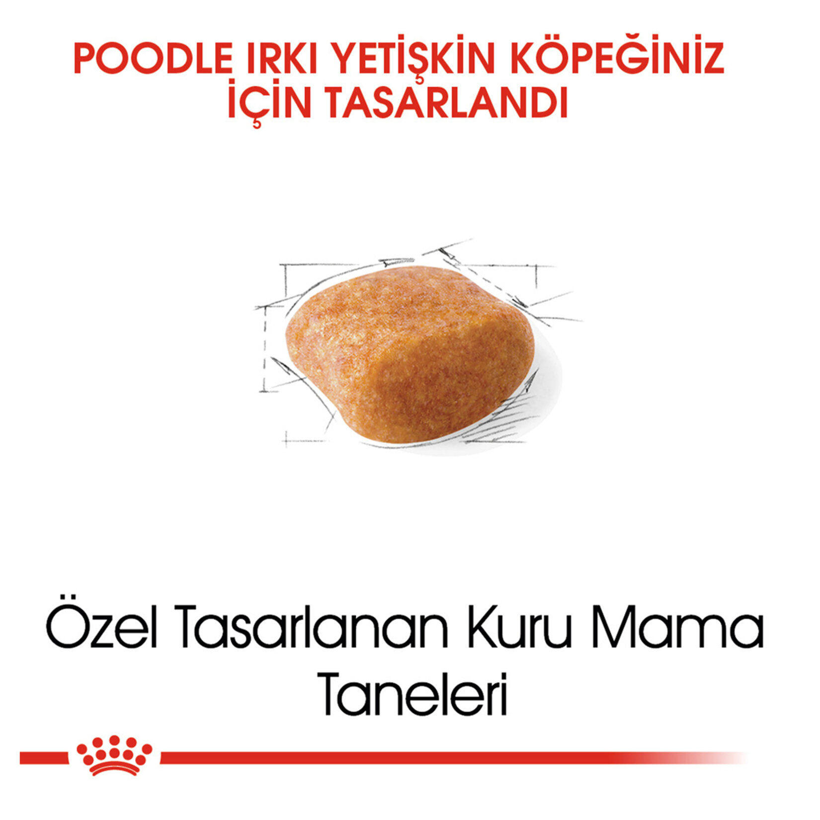 Royal Canin Poodle Yetişkin Kuru Köpek Maması 3 Kg - Görsel 3
