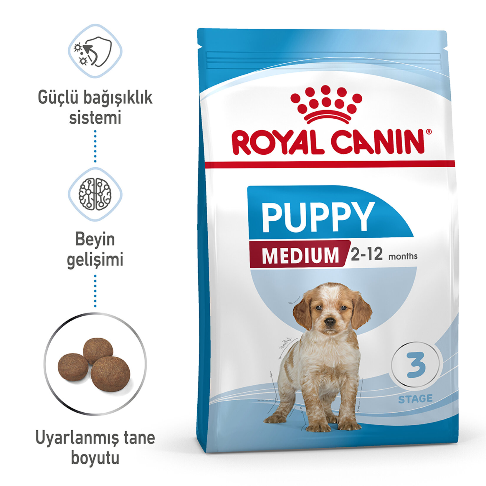 Royal Canin Orta Irk Yavru Kuru Köpek Maması 4 Kg - Görsel 2