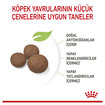 Royal Canin Orta Irk Yavru Kuru Köpek Maması 4 Kg - Görsel 3