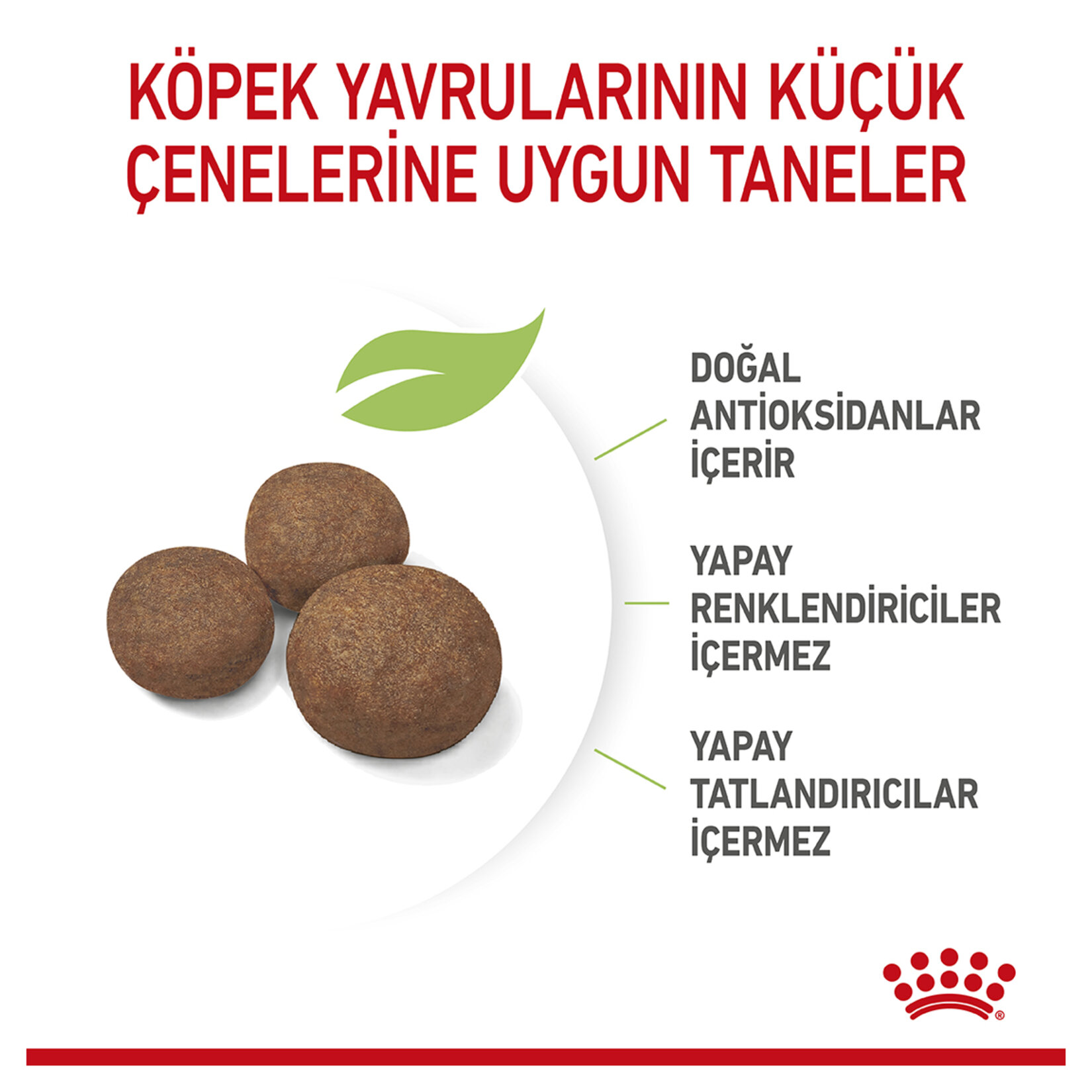 Royal Canin Orta Irk Yavru Kuru Köpek Maması 4 Kg - Görsel 3