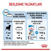 Royal Canin Orta Irk Yavru Kuru Köpek Maması 4 Kg - Görsel 5