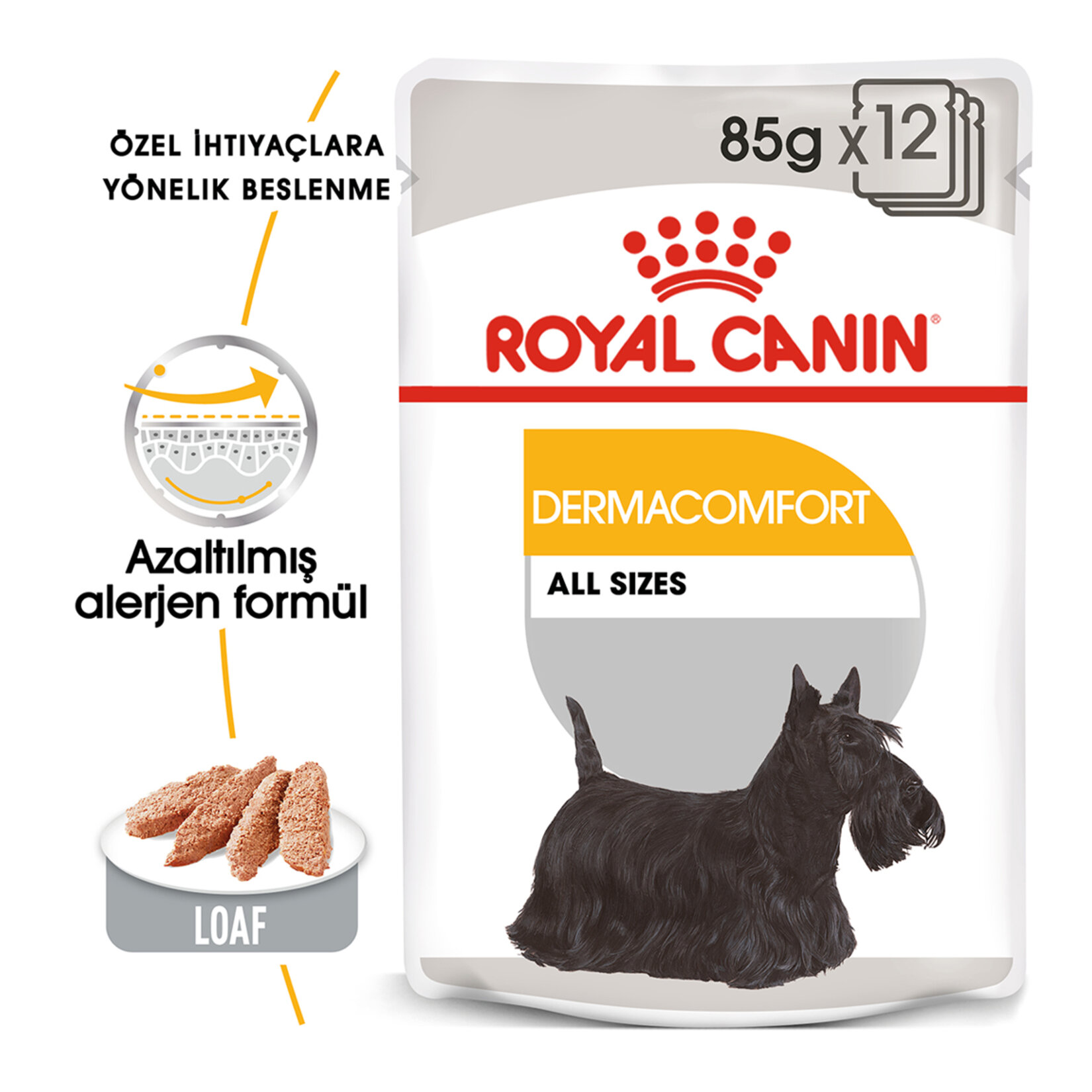 Royal Canin Dermacomfort Yaş Köpek Maması 12 x 85 G - Görsel 2