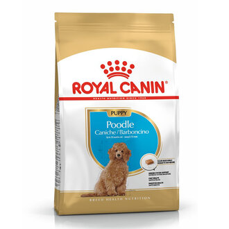 Royal Canin Poodle Yavru Köpek Maması 3 Kg