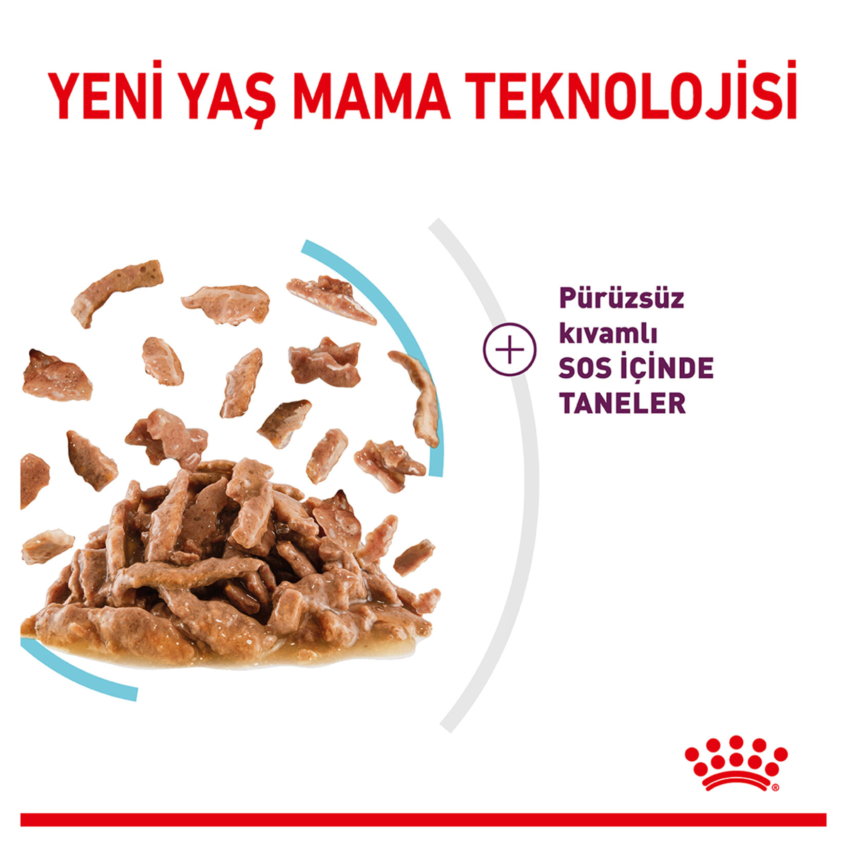 Royal Canin Duyusal His Yaş Kedi Maması 12 x 85 G - Görsel 2