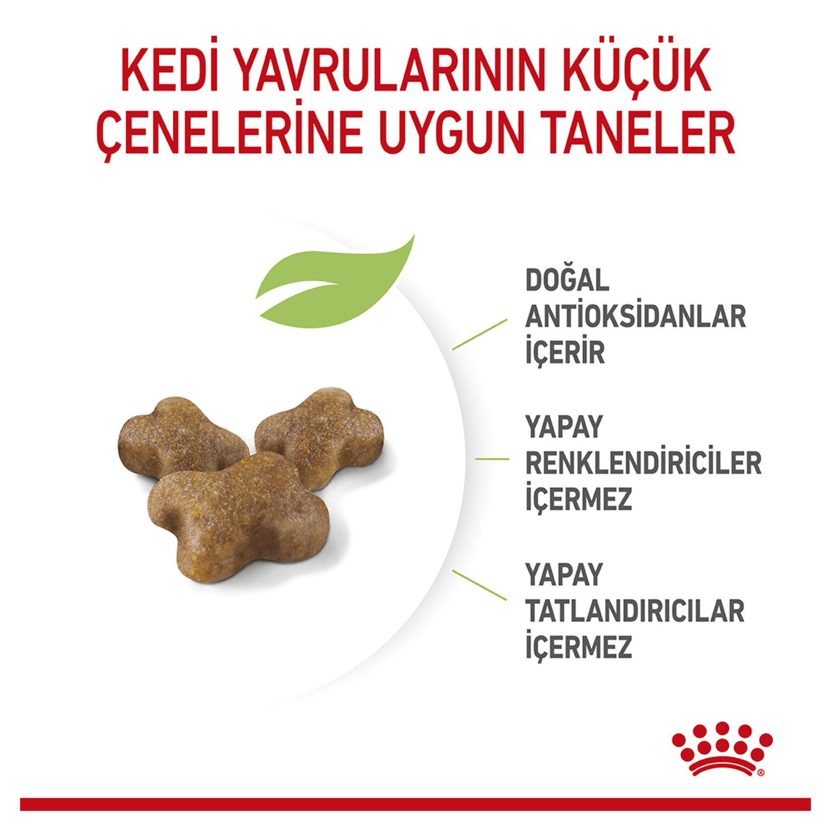 Royal Canin Yavru Kediler İçin Kuru Kedi Mama 400 G - Görsel 3