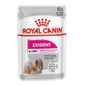 Royal Canin Exigent Köpeği Yaş Köpek Maması 12 x 85 G