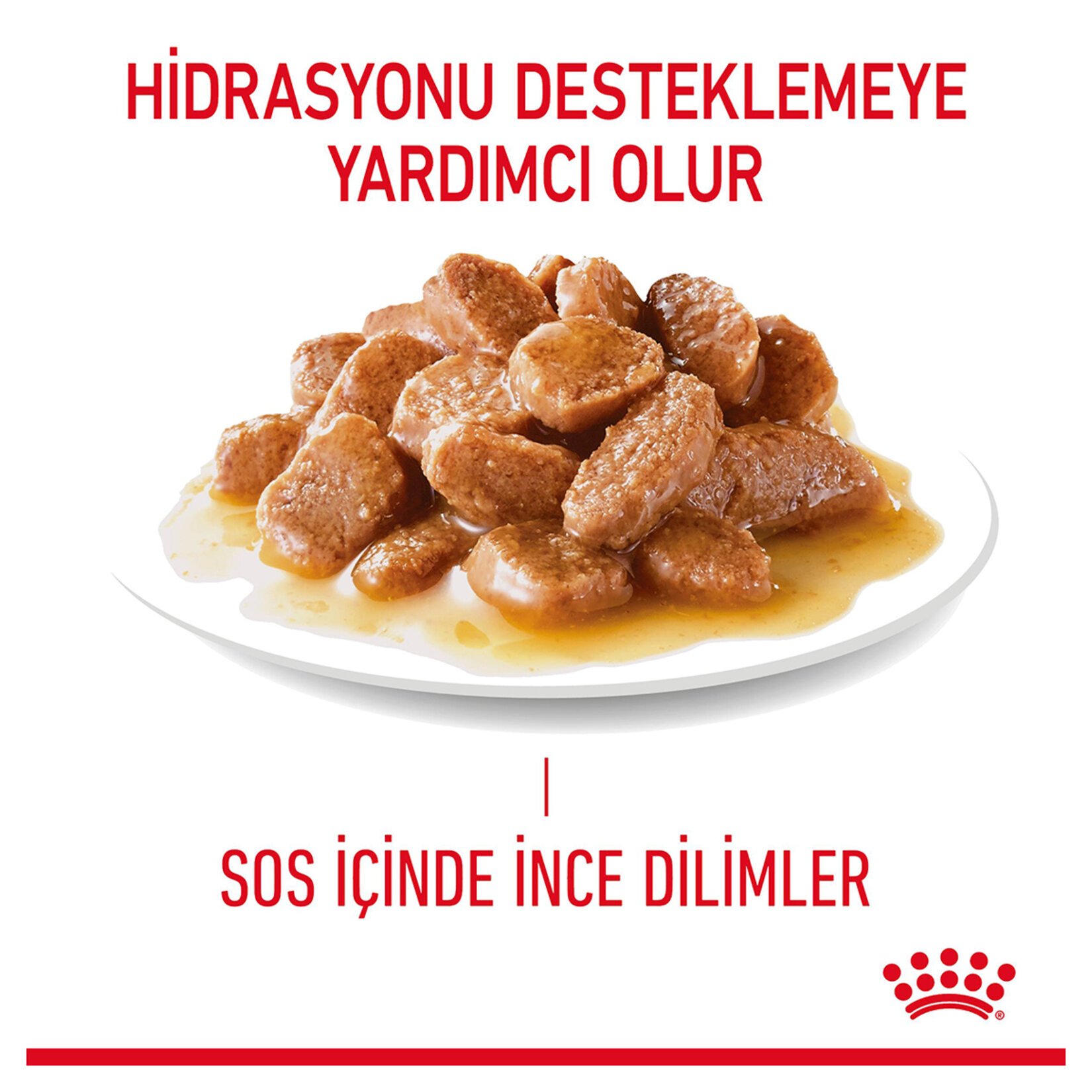 Royal Canin Sindirim Hassasiyeti Kedi Maması 12 x 85 G - Görsel 2