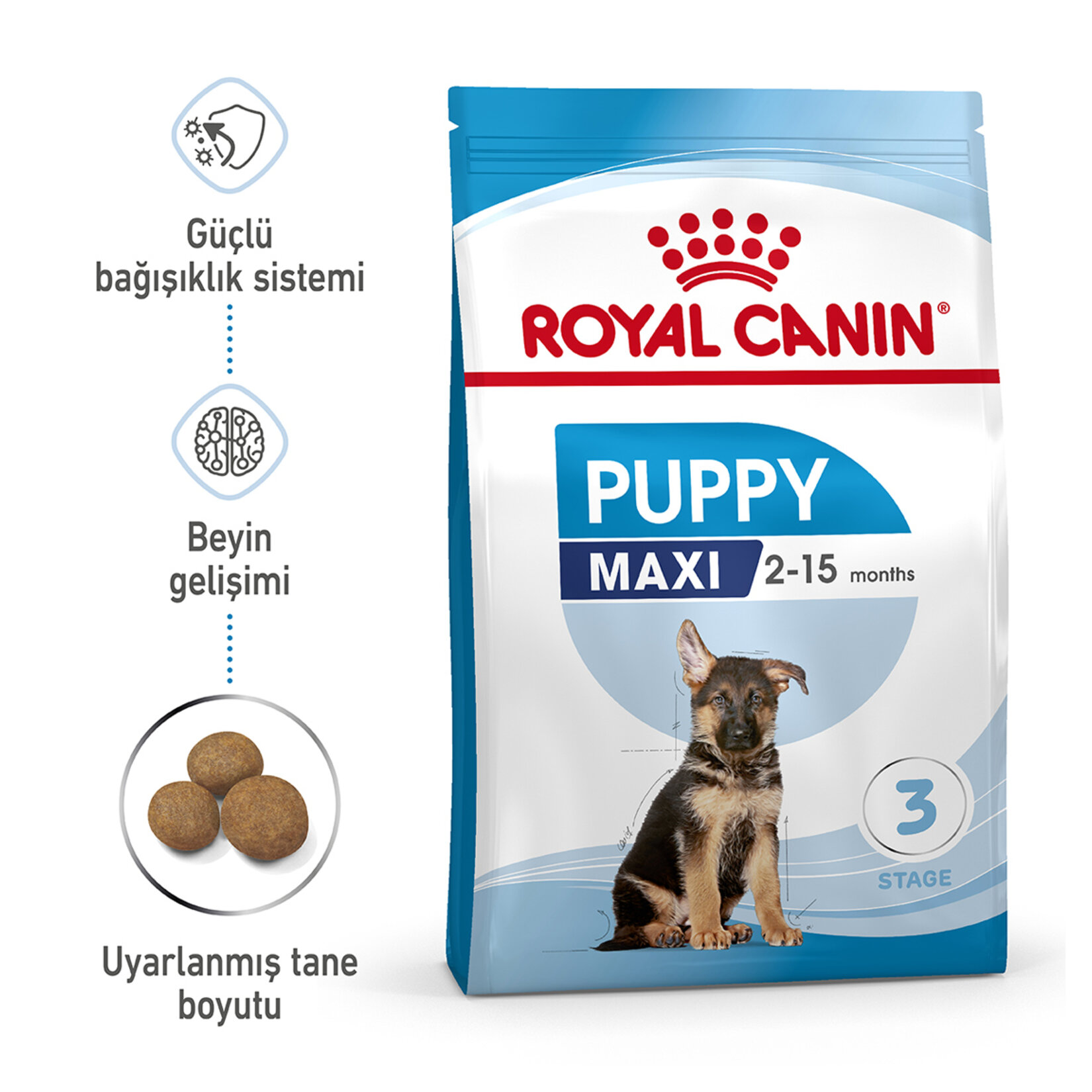 Royal Canin Büyük Irk İçin Yavru Köpek Maması 15 Kg - Görsel 2
