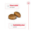 Royal Canin Büyük Irklar İçin Kuru Maması 15 Kg - Görsel 2
