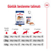 Royal Canin Büyük Irklar İçin Kuru Maması 15 Kg - Görsel 4