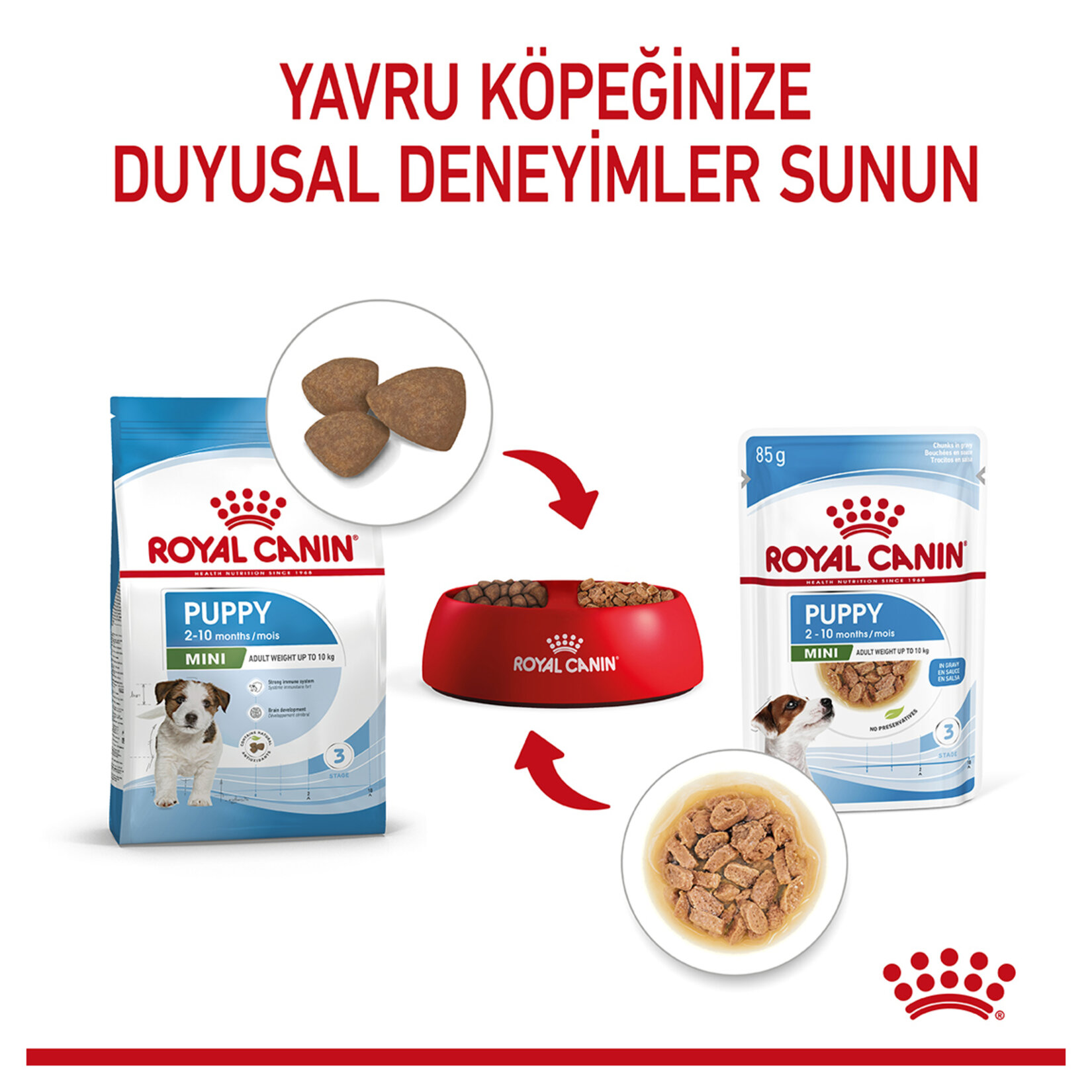 Royal Canin Küçük Irk Yavru Yaş Köpek Maması 12 x 85 G - Görsel 3