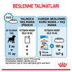 Royal Canin Orta Irk Yavru Yaş Köpek Maması 10 x 140 G - Görsel 4