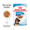 Royal Canin Büyük Irk Yavru Yaş Köpek Maması 12 x 140 G - Görsel 2