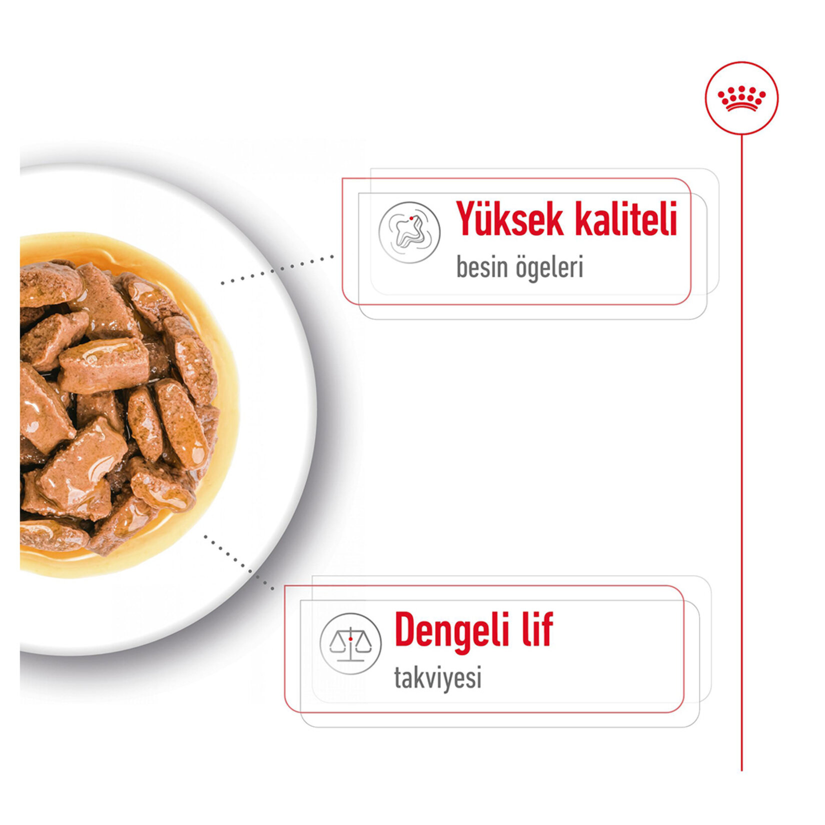 Royal Canin Büyük Irklar İçin Yaş Köpek Mama 10 x 140 G - Görsel 2