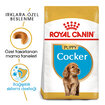 Royal Canin Cocker İçin Yavru Köpek Maması 3 Kg - Görsel 2