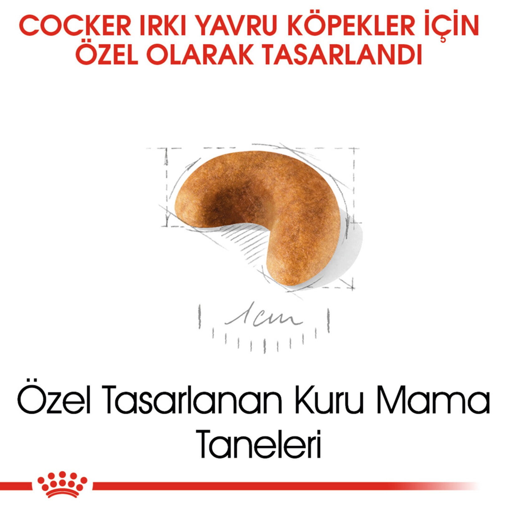 Royal Canin Cocker İçin Yavru Köpek Maması 3 Kg - Görsel 3