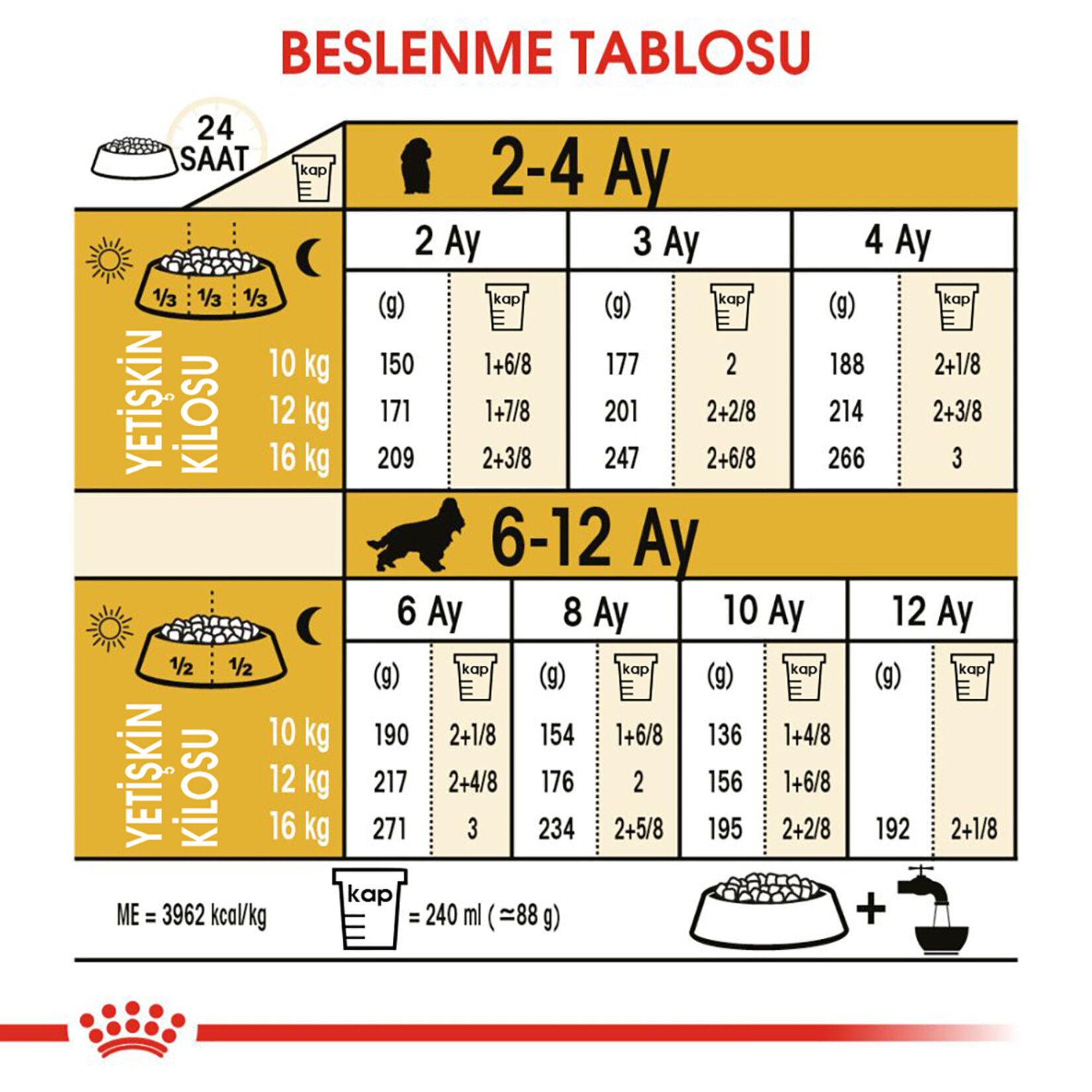 Royal Canin Cocker İçin Yavru Köpek Maması 3 Kg - Görsel 5