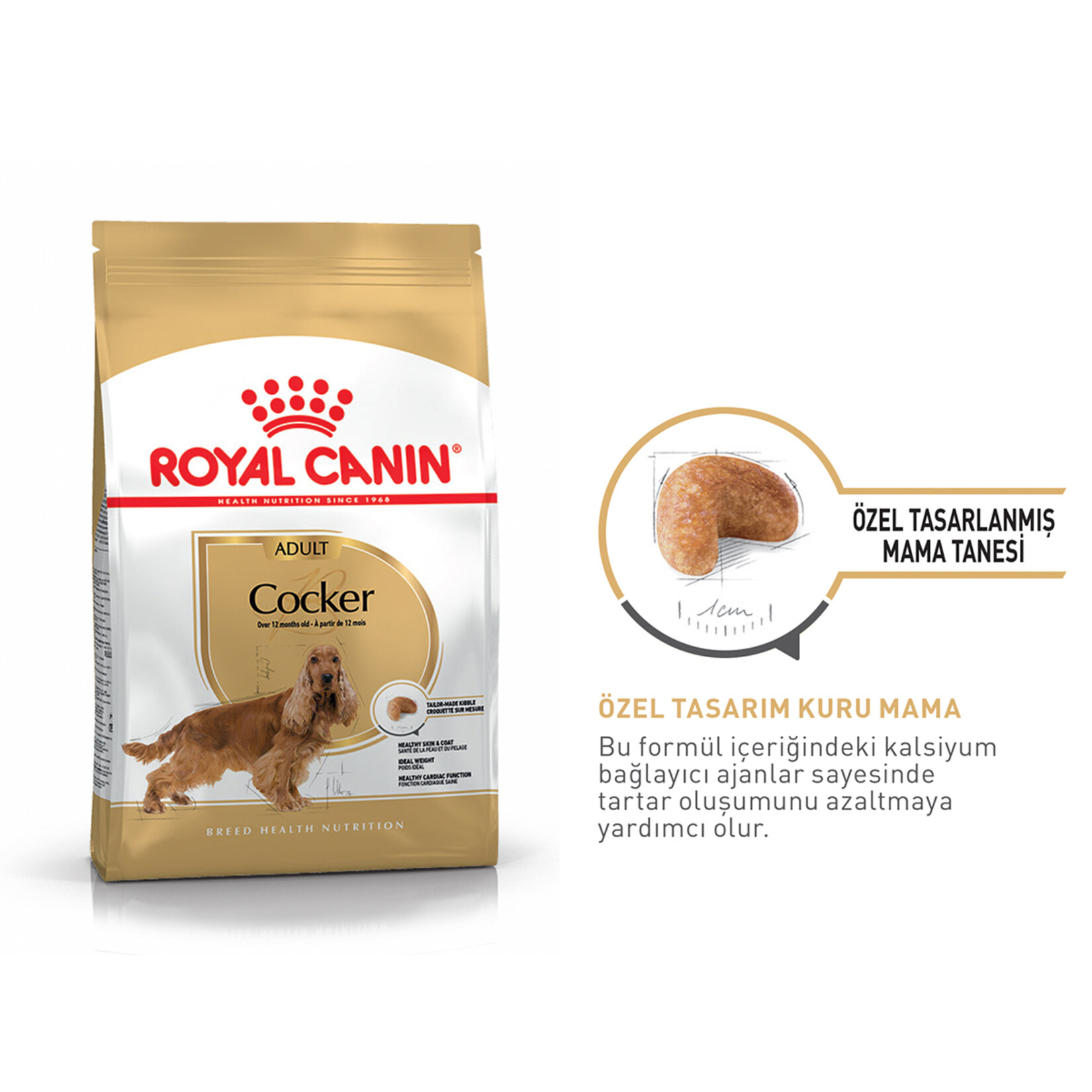 Royal Canin Cocker İçin Kuru Köpek Maması 3 Kg - Görsel 2